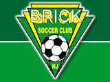 bricksoccer_logo